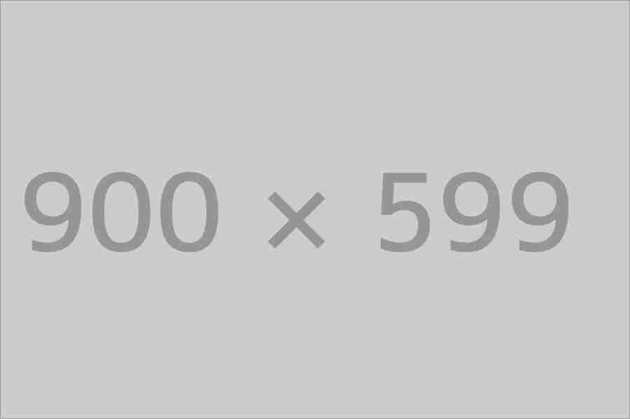 Integer pulvinar